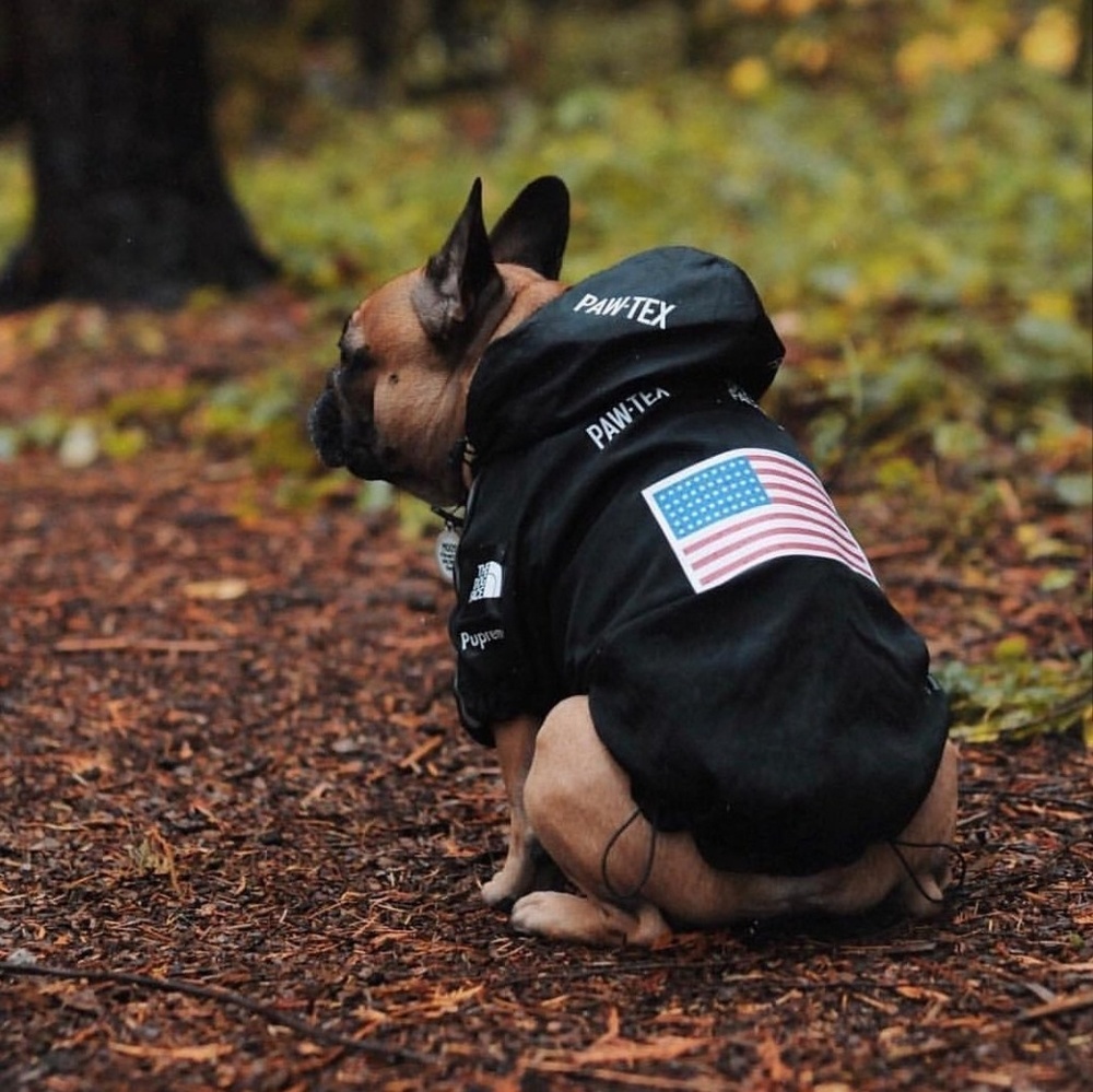 The dog face, pupreme, windbreaker, rain jacket L